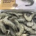 40-50盐冻大虾40-50板冻大虾腾惠更多客户的选择