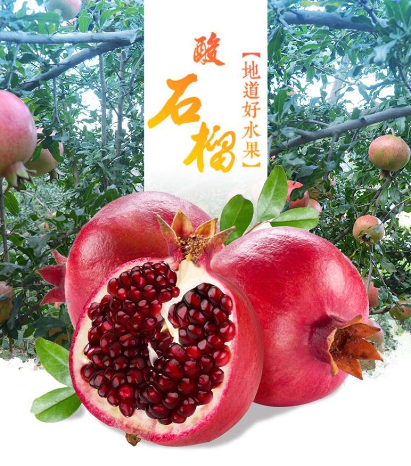 云南大理酸甜石榴酸甜可口泡酒孕妇可用