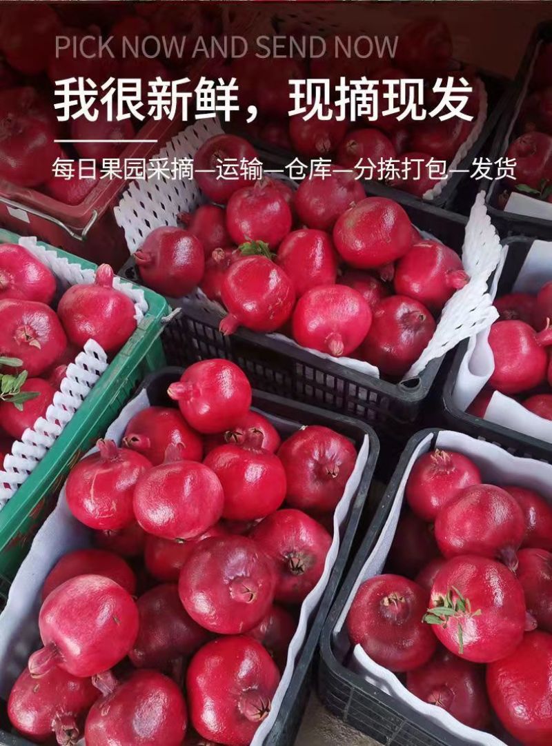 云南大理酸甜石榴酸甜可口泡酒孕妇可用
