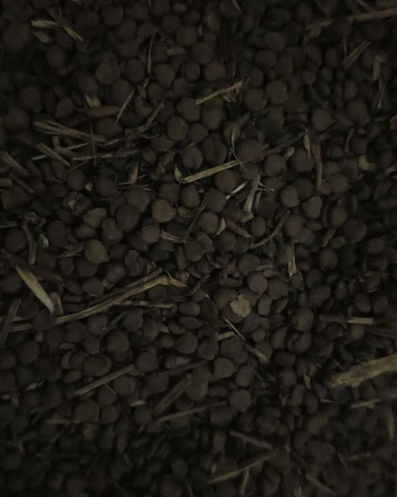《望江南》现在草价格。