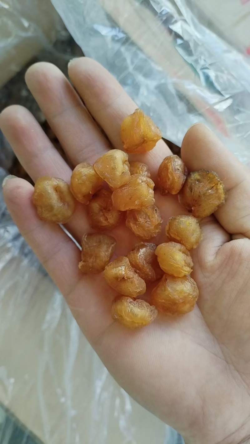 广西桂圆肉