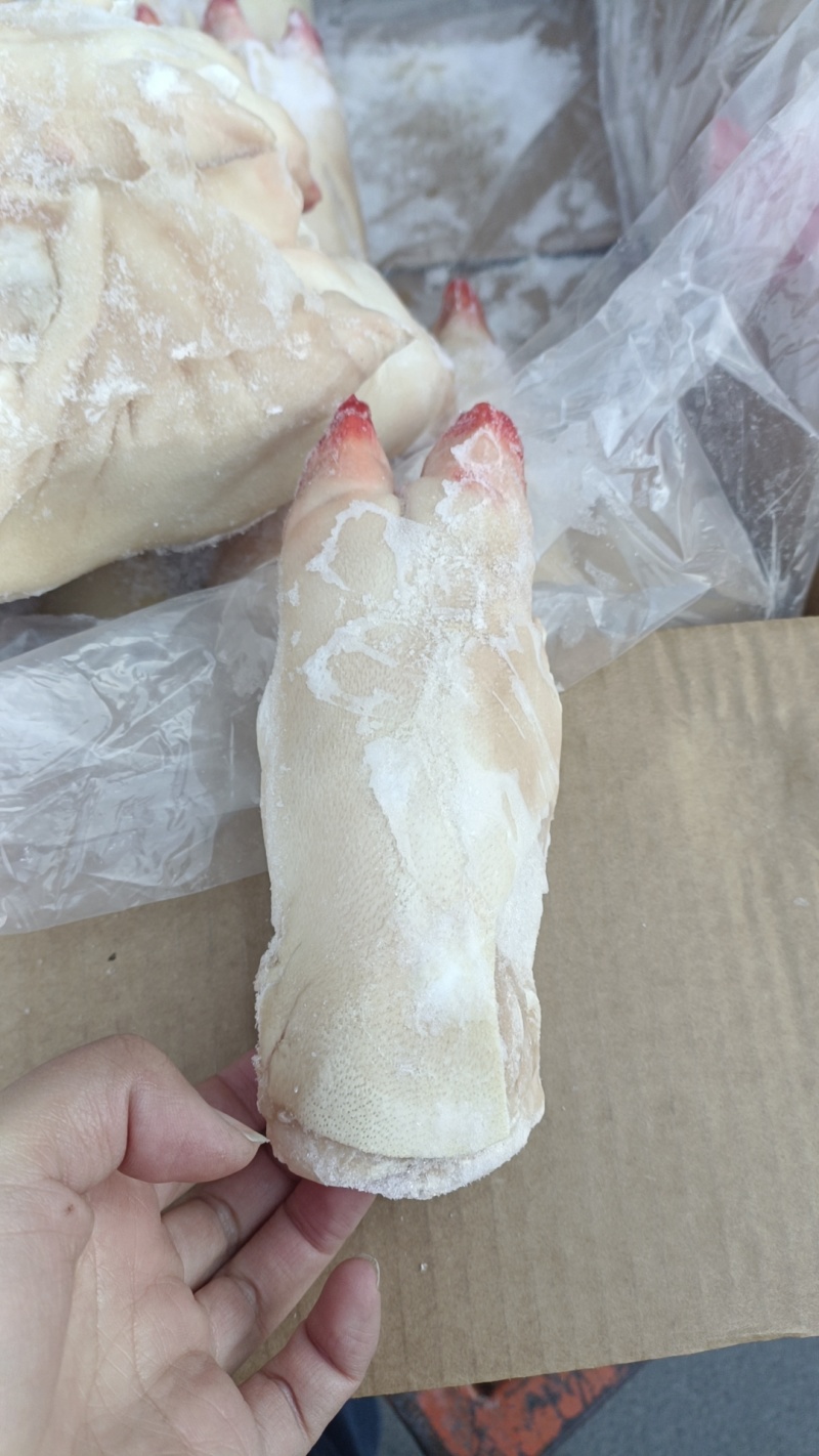 带筋纯干二级猪蹄