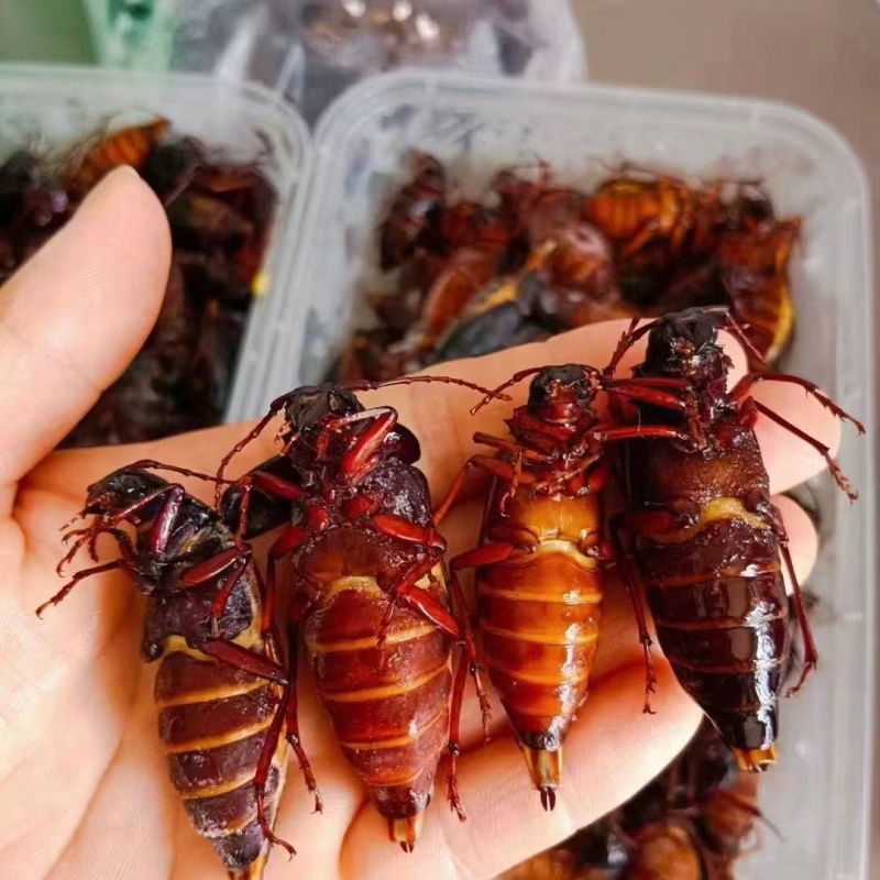 山水牛