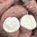 商薯19淀粉纯红薯淀粉酥肉粉粉条粉农场手工淀粉干淀粉红芋粉