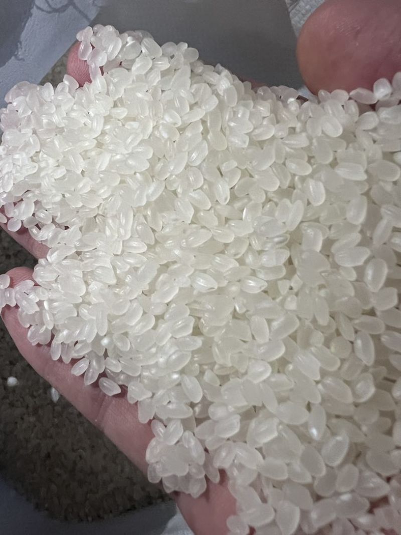 好珍珠，黑龙江鹤岗发货运成都1.98贵州1.99到站价