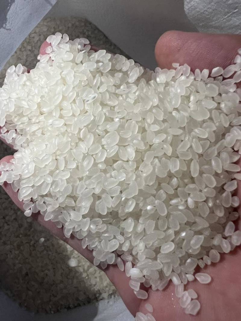 好珍珠，黑龙江鹤岗发货运成都1.98贵州1.99到站价