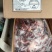 正关驴肉