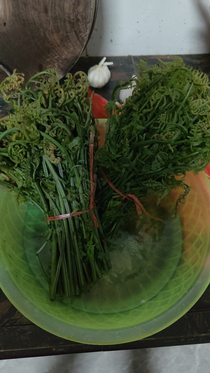 水蕨菜