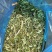 甘蔗尾青贮草料