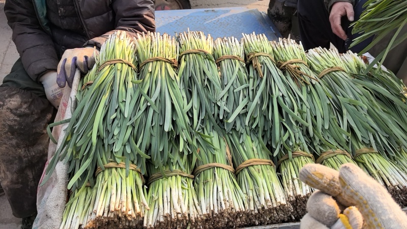 精品头刀精品头刀量大！量大！
