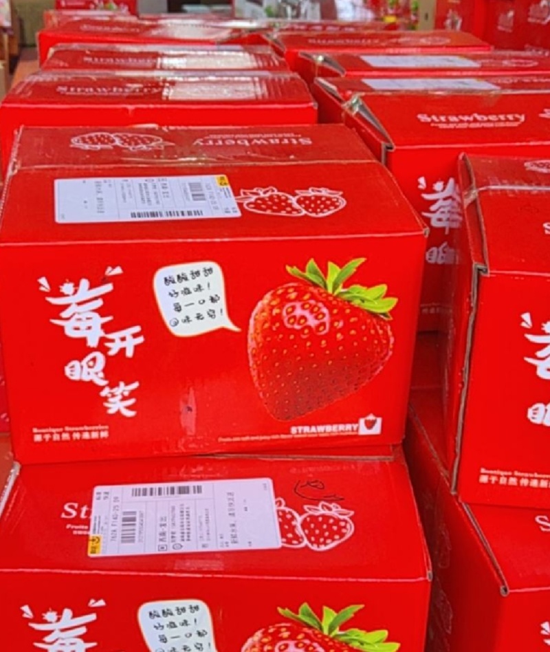 【现摘现发基地批发】99红颜奶油双流草莓