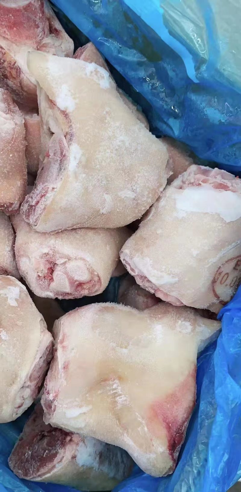 精品脚圈如有需要请联系腾惠业务员！腾惠肉食全国接单！