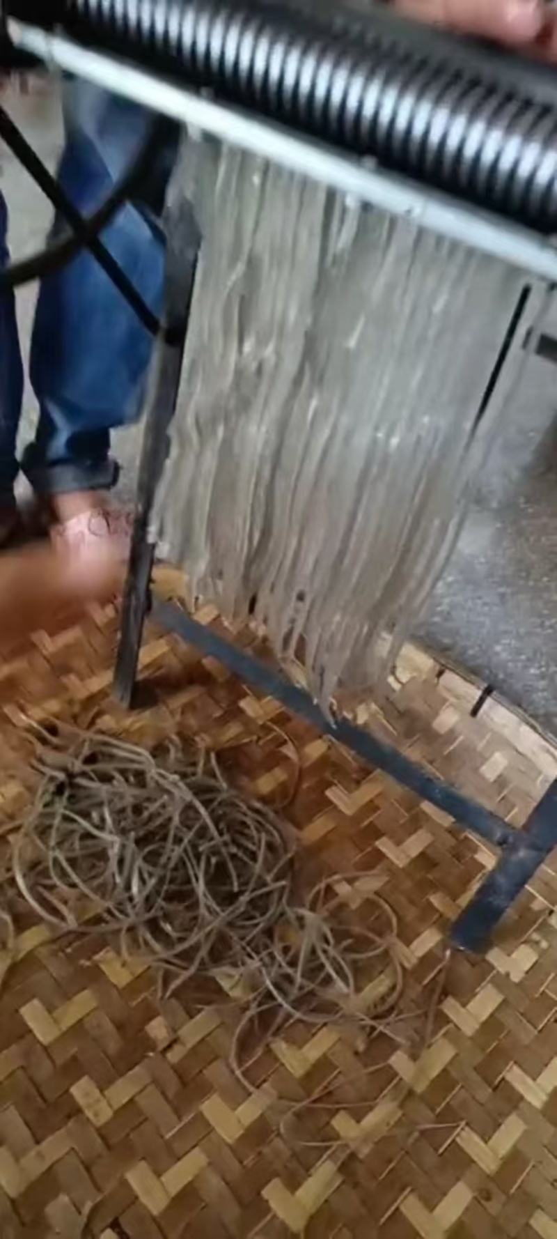红薯粉，自家做的红薯粉哦！