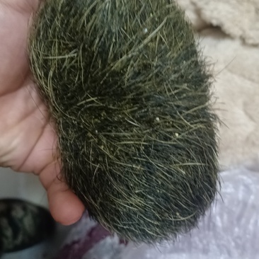 我想卖猪砂