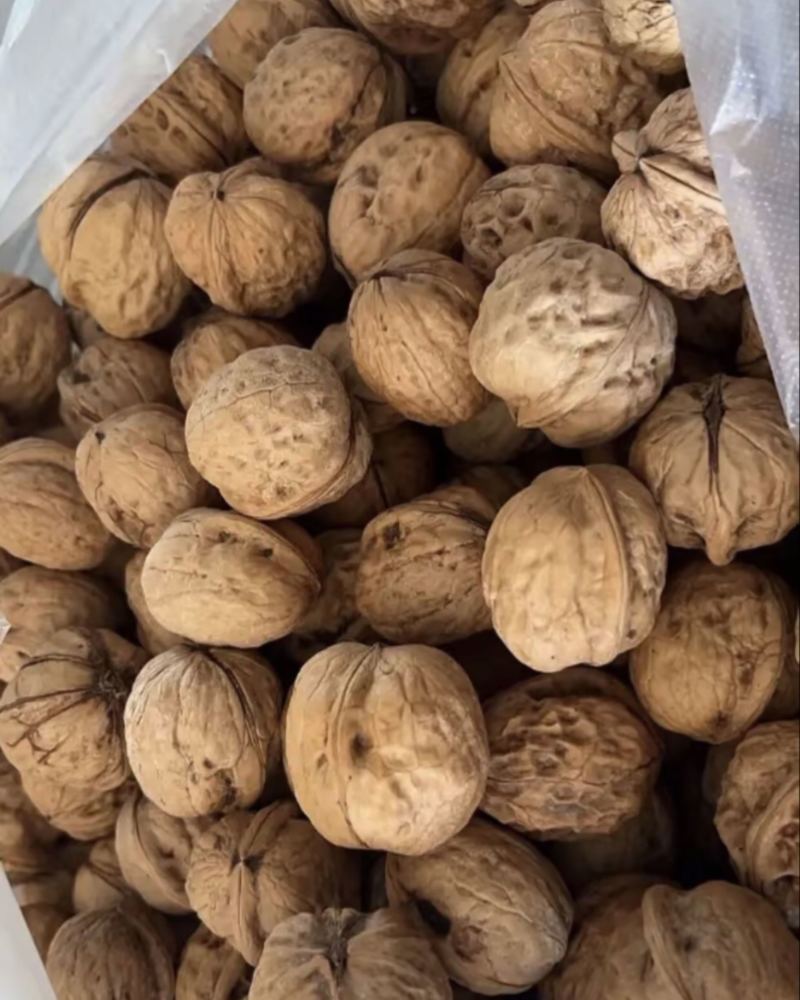 高品质核桃