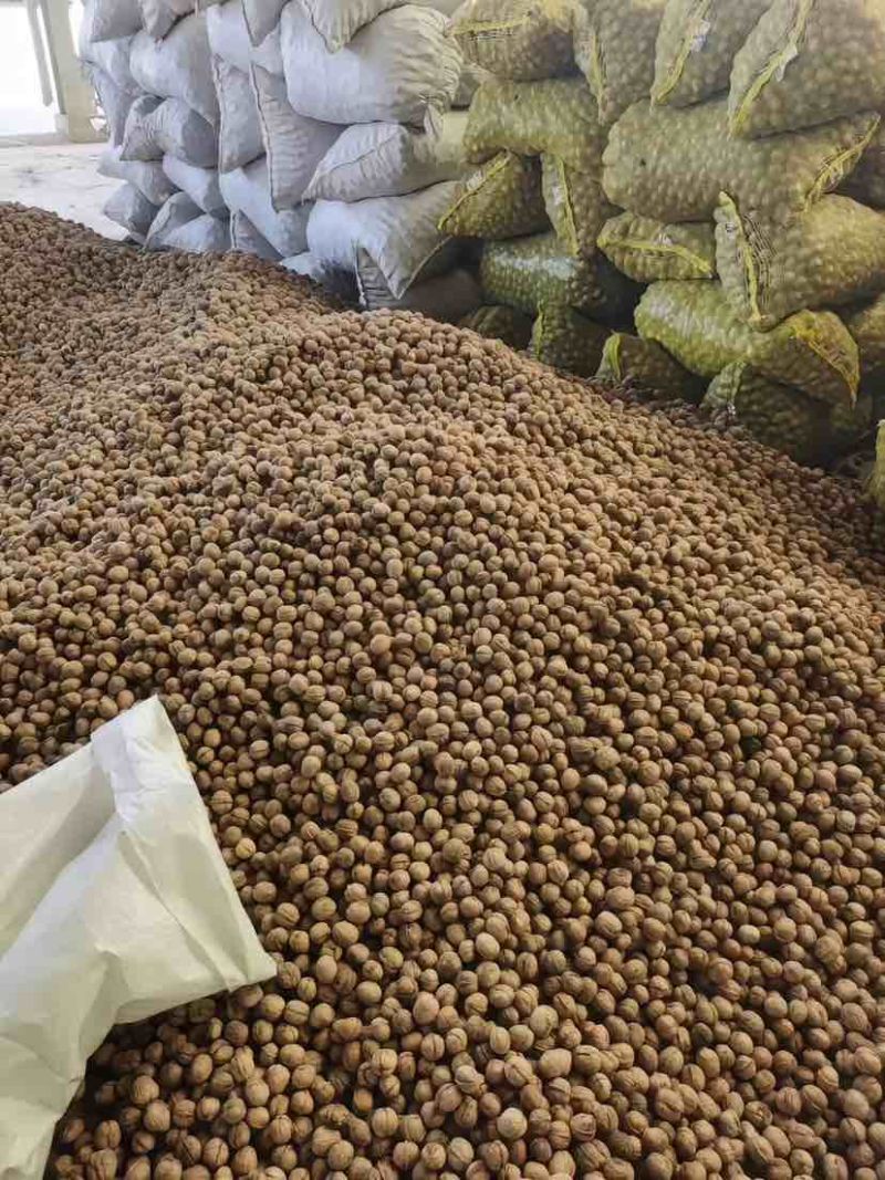 高品质核桃