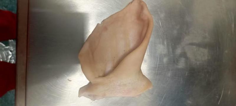 常年供应猪蹄猪脸猪耳等猪副类产品