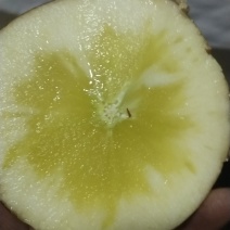 大凉山丑苹果
