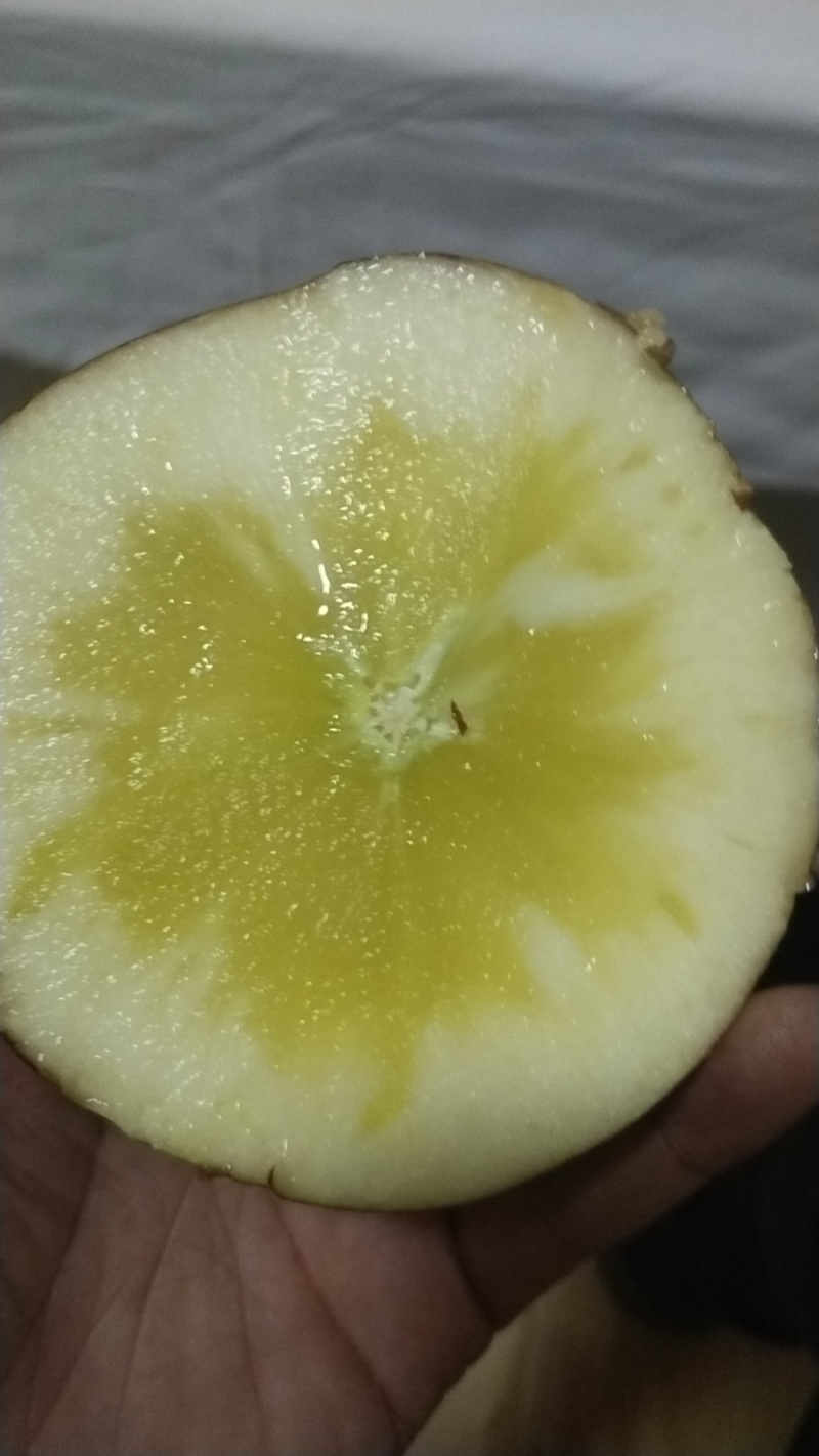 大凉山丑苹果