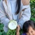 贵州大头菜