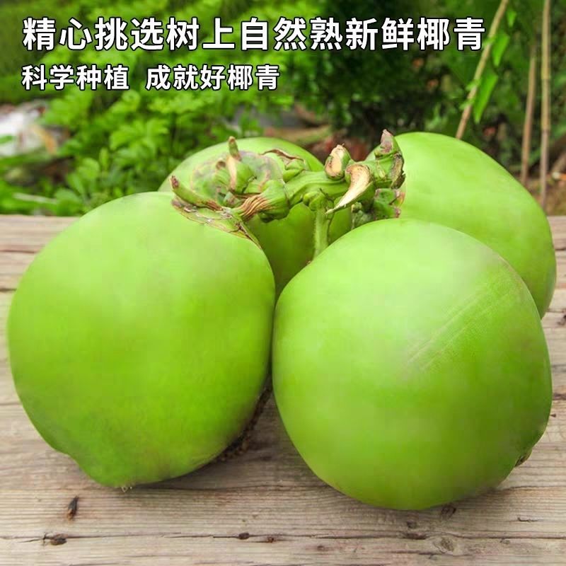 椰子批发产地直销大量现货一手货源价格漂亮有售