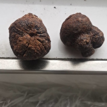 我有鹅宝，有人收吗？