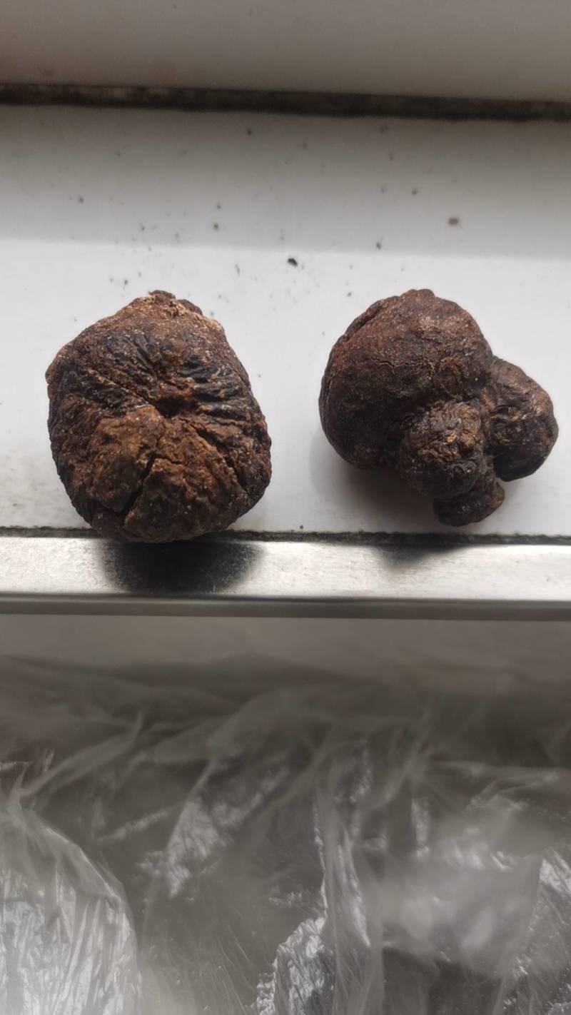 我有鹅宝，有人收吗？