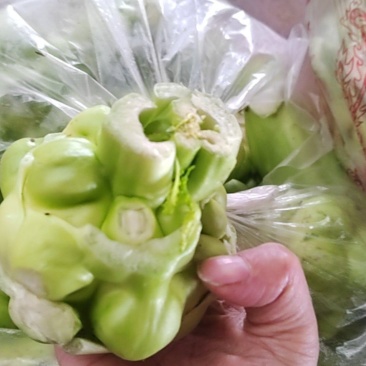 榨菜头