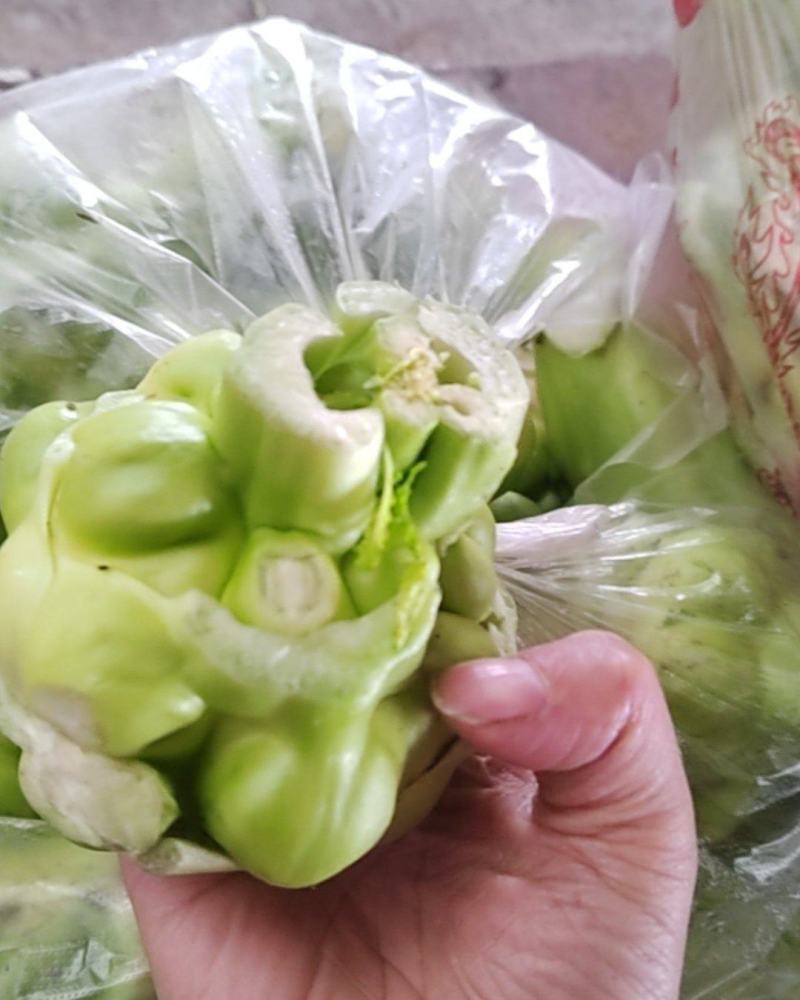 榨菜头