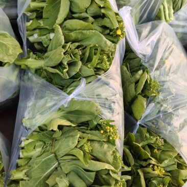 精品红菜苔，白菜苔