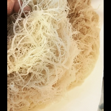 精品龙须菜批发，厂家晒厂直供，欢迎选购。