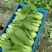 小青菜大量上市