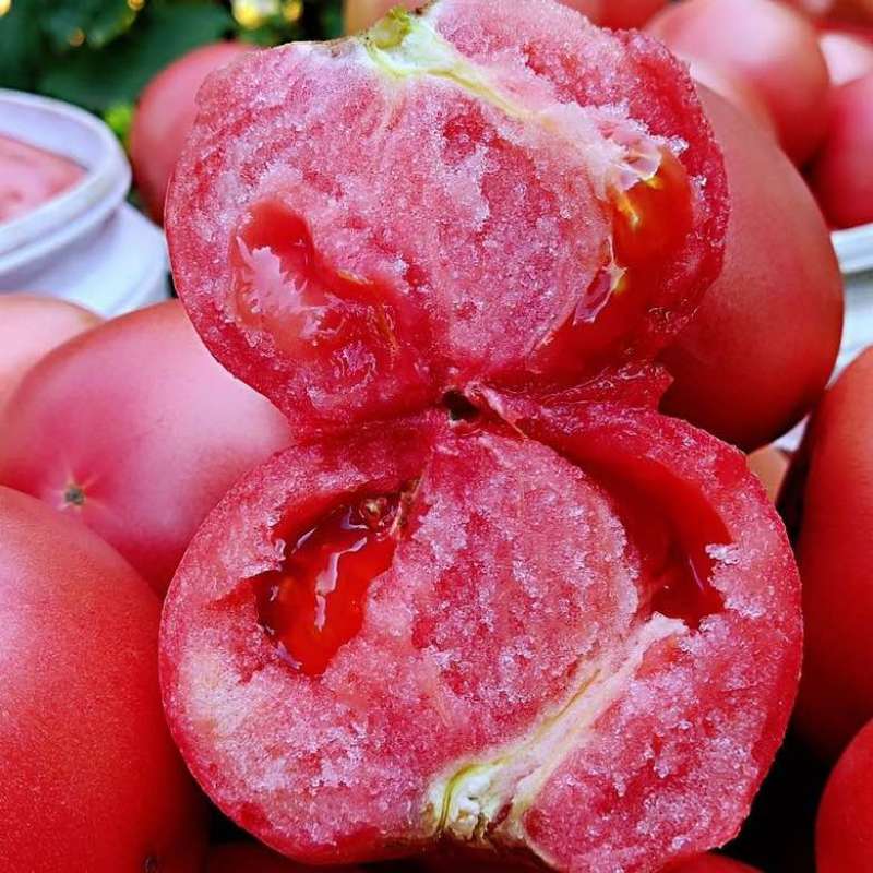 【露天西红柿现摘】净重5斤自然熟攀枝花大番茄新鲜蔬菜代发