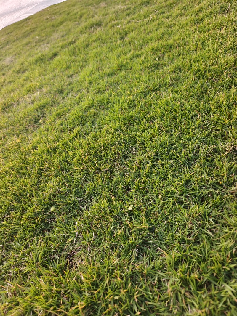 台湾青