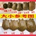 精品甲鱼基地直供一手货源品质保证诚信经营