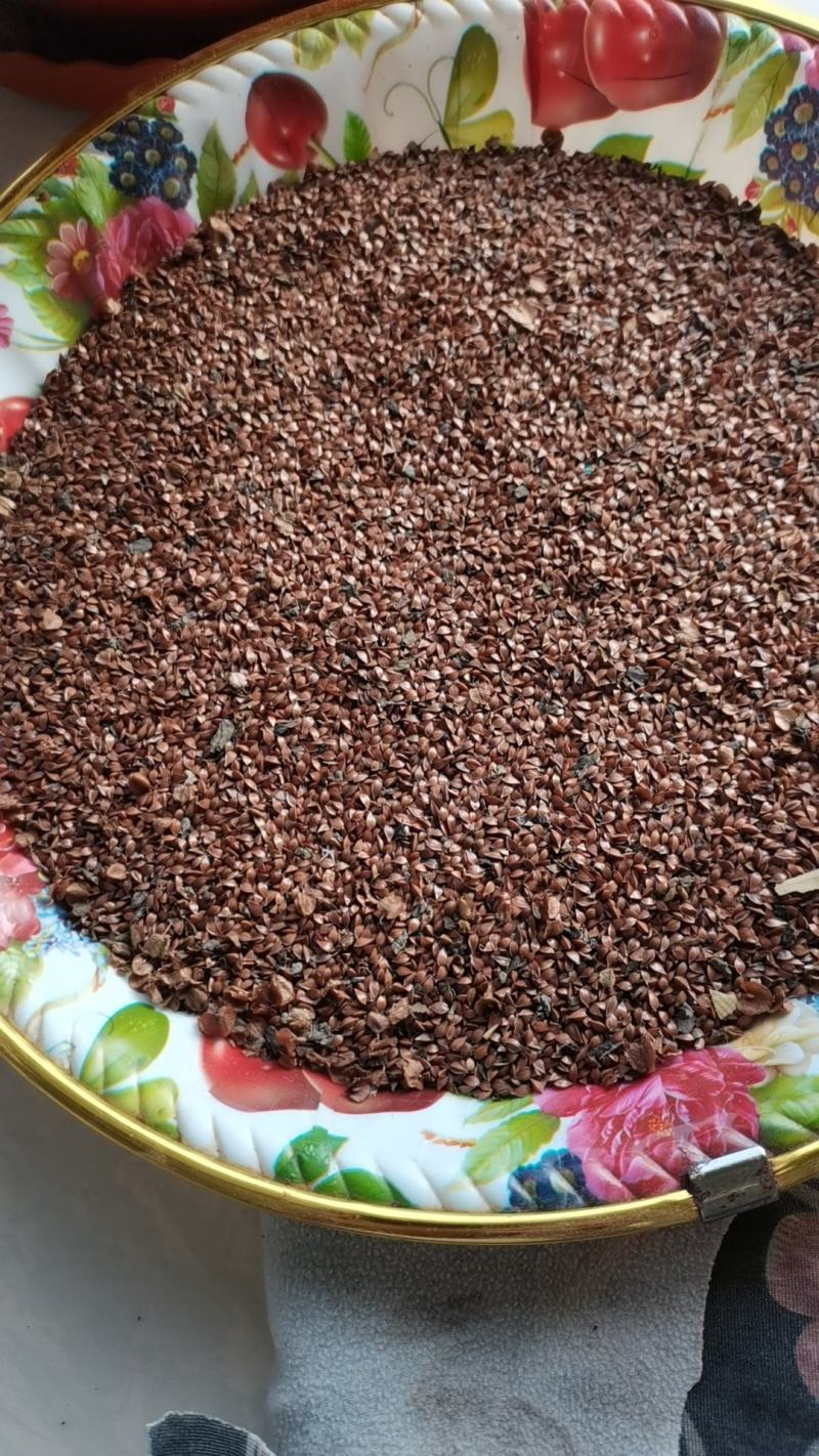 耐寒，耐盐碱，抗旱涝，高蛋白，香甜口，适口性好，做系列产品。