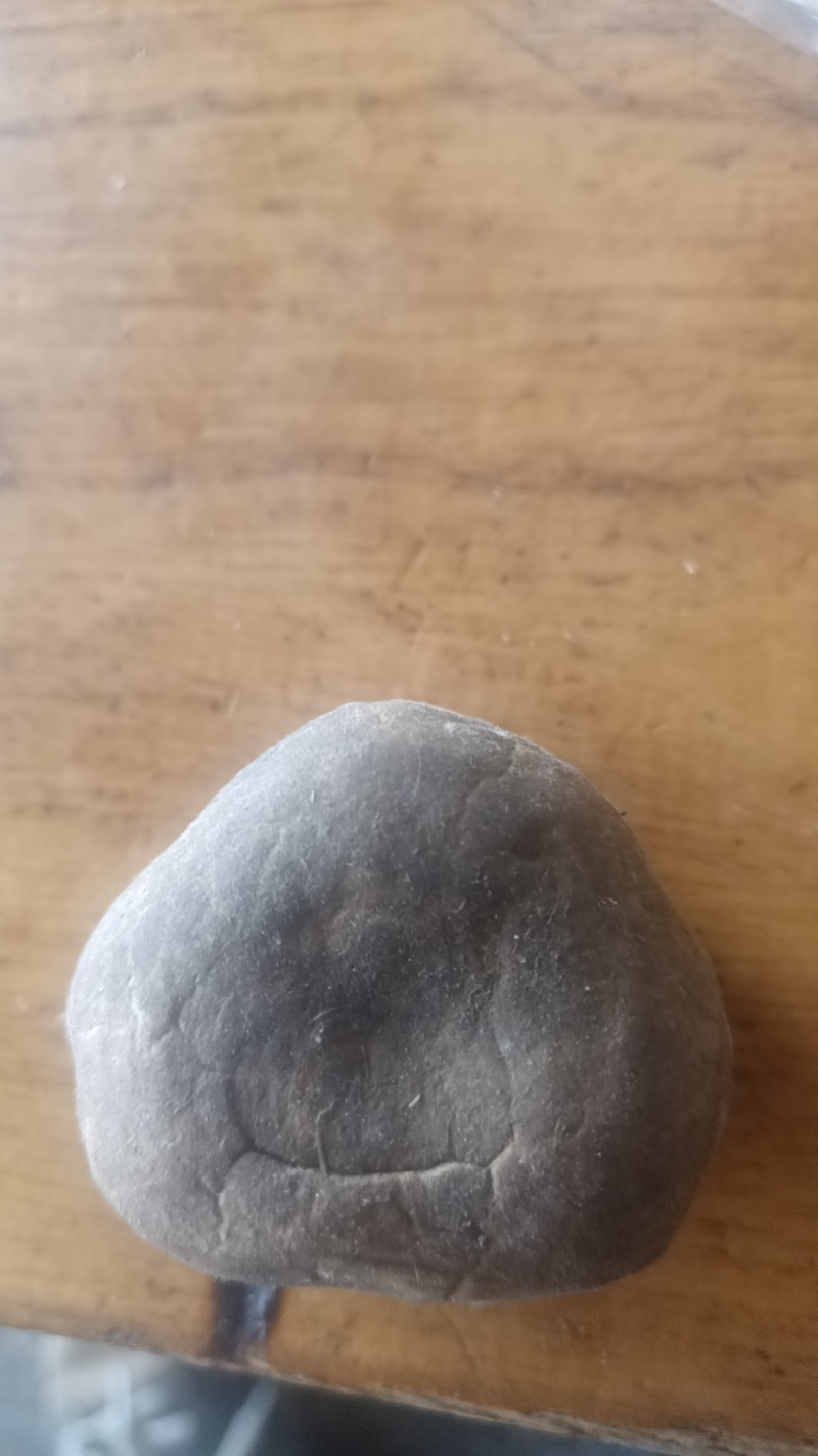 羊宝