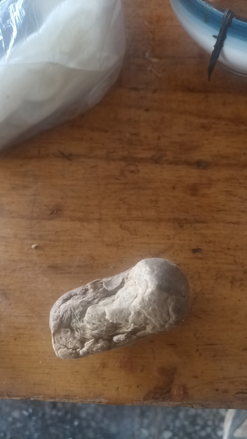 羊宝