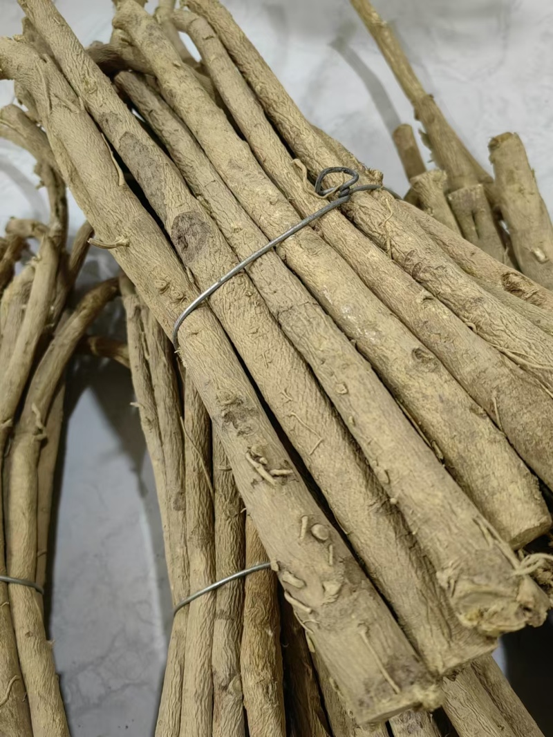 黄芪，党参，关防风，独活，