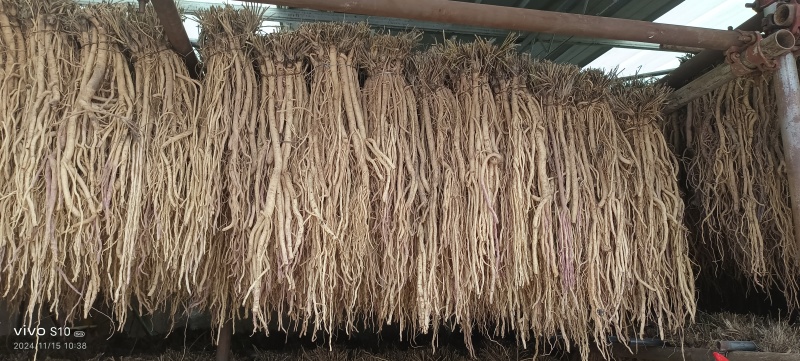 黄芪，党参，关防风，独活，
