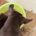 苏联红幼犬