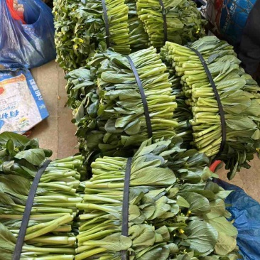 菜心