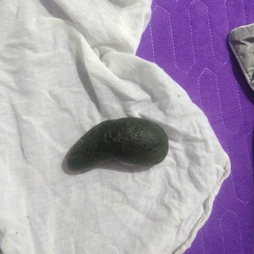 猪宝产地直发大量有货可视频看货