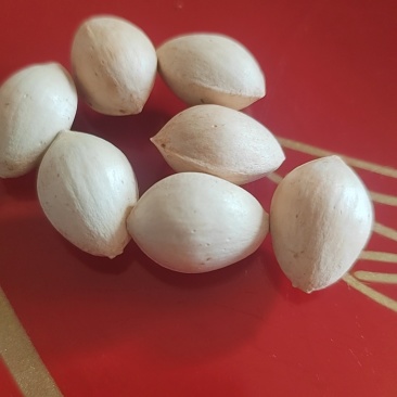白果