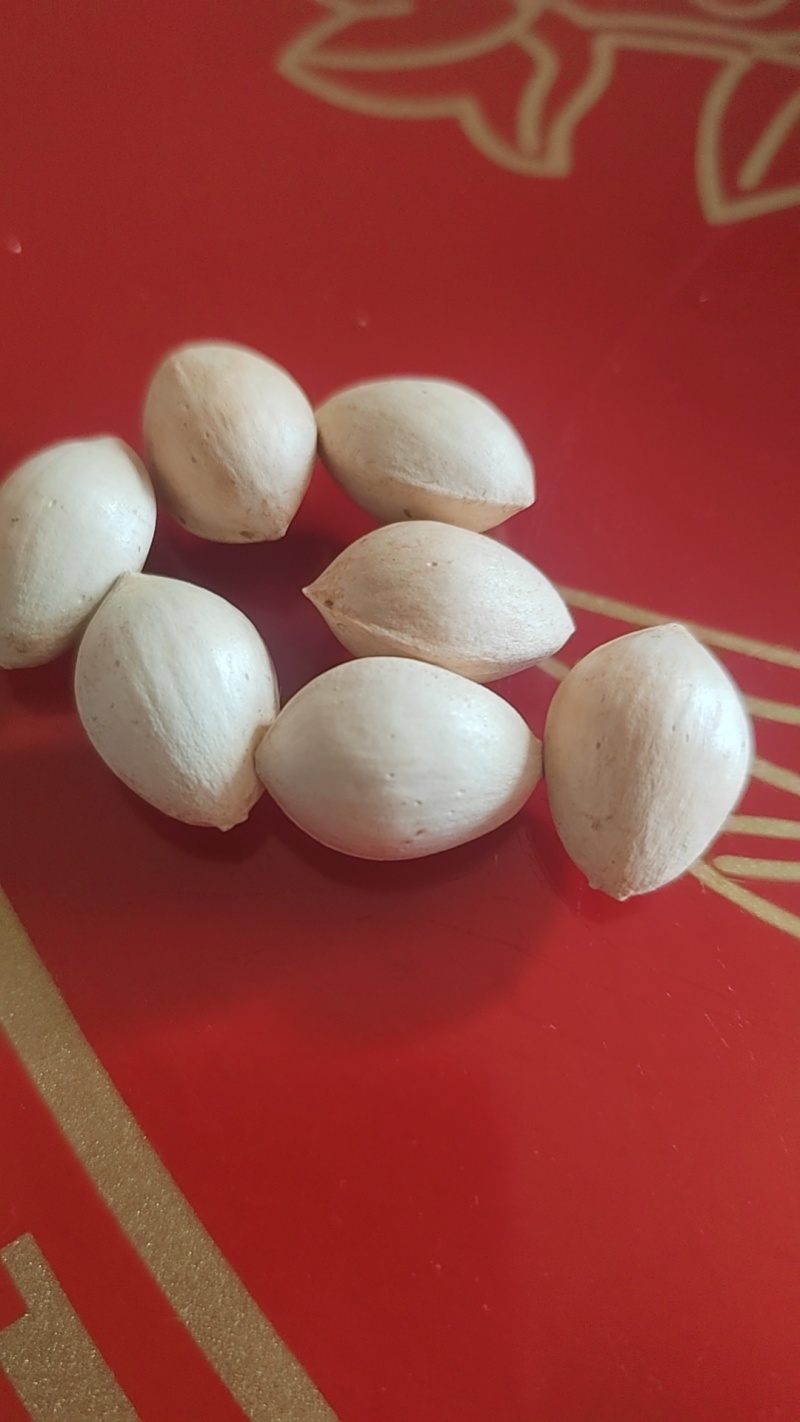 白果