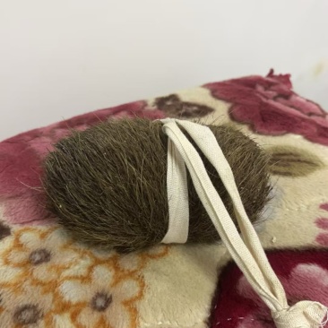 猪宝