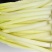 淮安蒲菜（常年提供稳定货源）