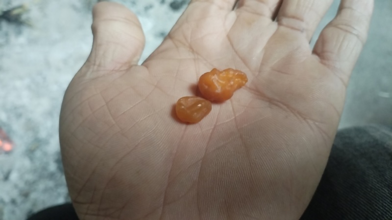 鸡宝，有需要的来电电：***********
