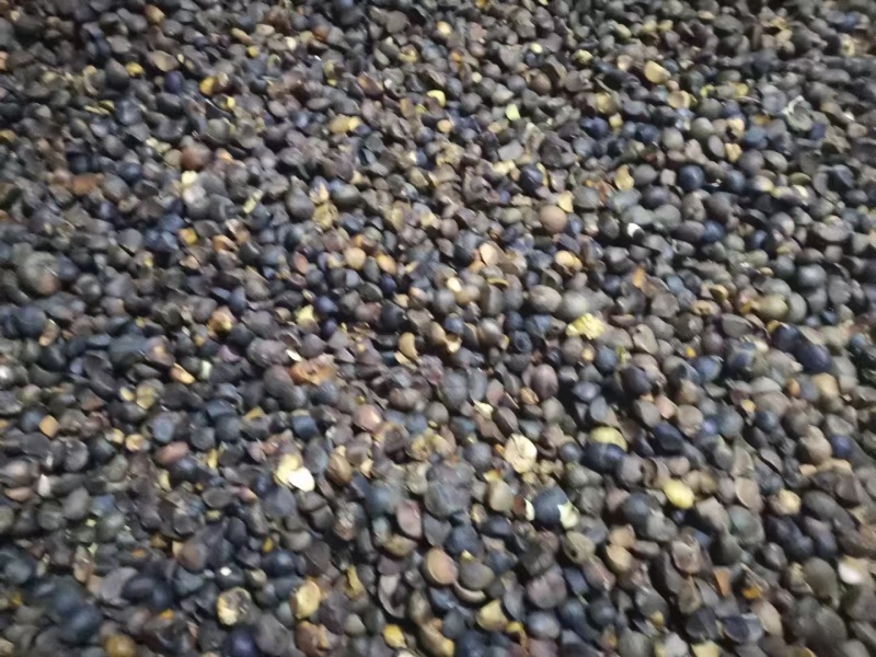 山茶油质量好