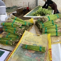 云南保山露天新鲜芦笋通货最大两指头粗，2月中旬可大量发货